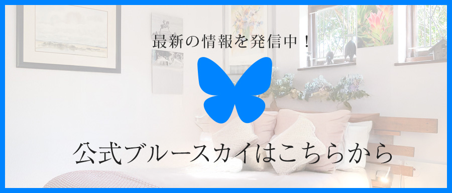 ブルースカイリンク画像